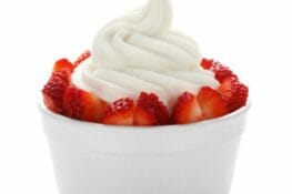 20 Facts about Frozen Yoghurt