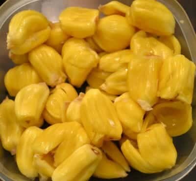 jackfruits