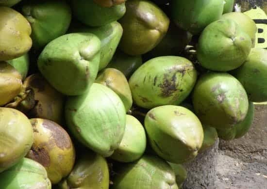 Benefits of Tender Coconut Water