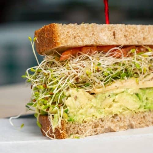 Mixed Sprouts Sandwich