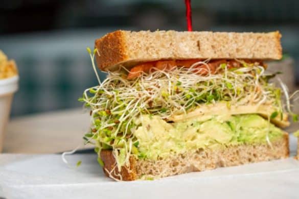Mixed Sprouts Sandwich