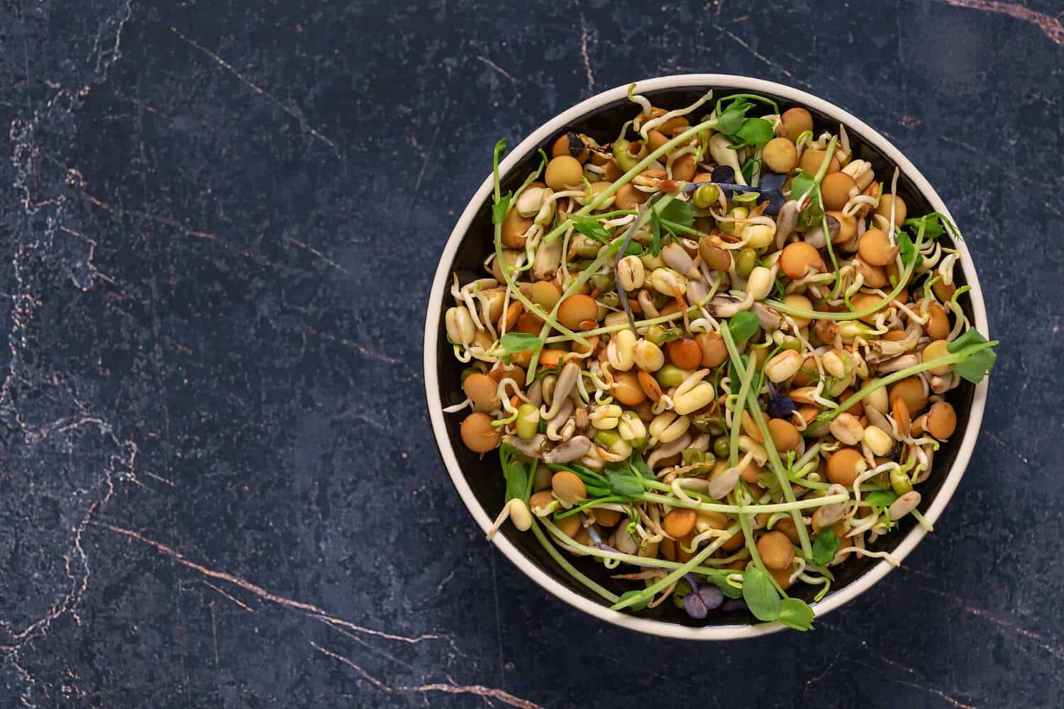 Why We Should Not Skip Breakfast? Plus 15 Easy Recipes to Fix It 10 Sprouts Salad