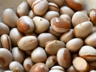 Palakottai (Jackfruit Seed) Podimas