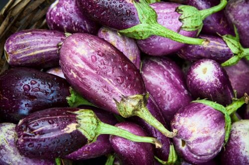 Brinjals (Aubergines)