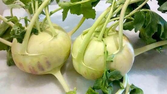 Knol Khol (Kohlrabi)