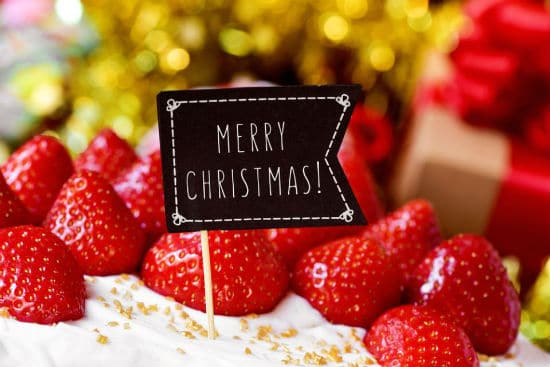 Merry Christmas