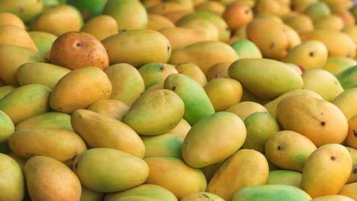 Mangoes