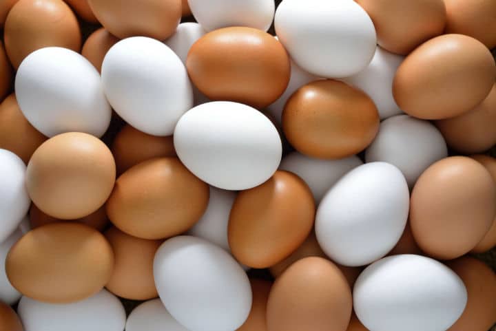Eggs are bad for the heart