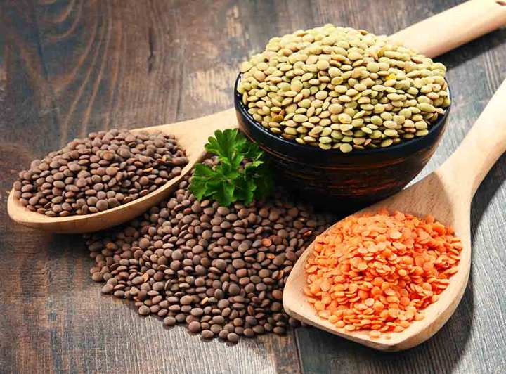 Lentils 