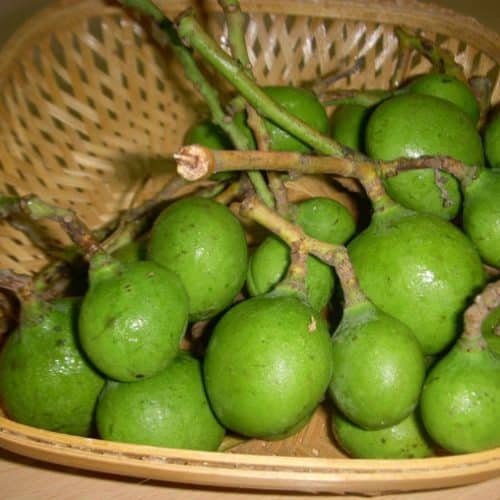 Mavadu (Tender Baby Mangoes)