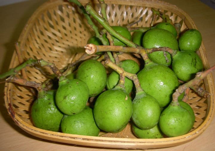 Mavadu (Tender Baby Mangoes)