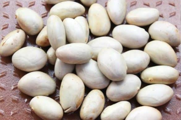 Palakottai Thokku