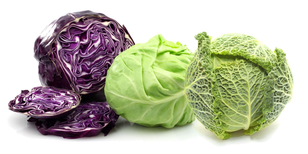 Cabbage