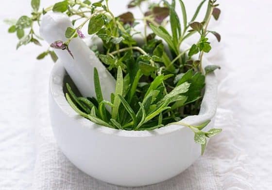 A Beginner’s Guide to Cooking with Fresh Herbs