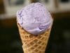 Jamun Fruit Ice Cream