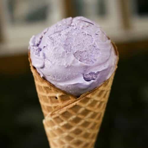 Jamun Fruit Ice Cream