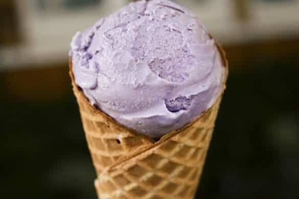 Jamun Fruit Ice Cream
