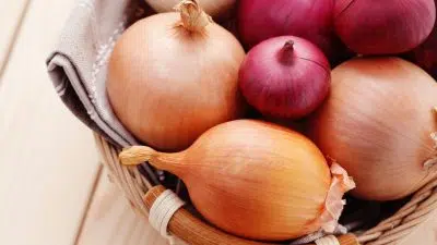 Is Onion a Herb? What the Kitchen Calls It and What Botany Says