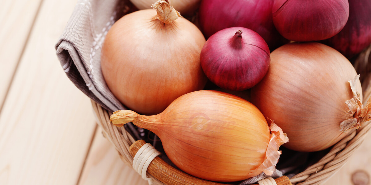 Is Onion a Herb? What the Kitchen Calls It and What Botany Says 2 Onions