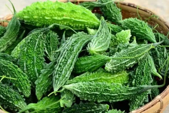 Bitter Gourd Benefits: A Complete Guide