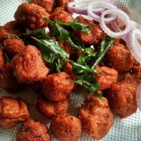 சோயா சங்க் 65 4 சோயா சங்க் 65 / Soya Chunks 65