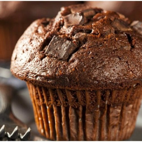 Double Chocolate Chip Muffin