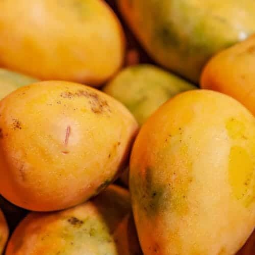 Mangoes