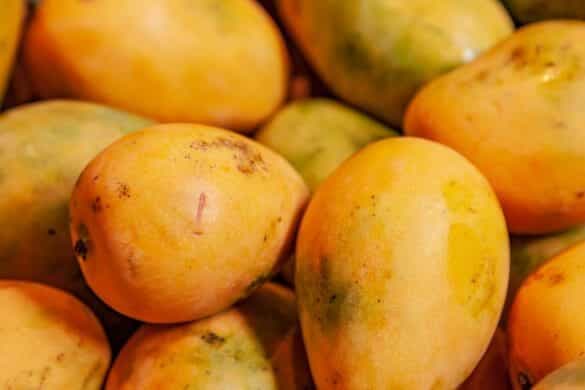 The Role of Mango in Indian Cuisine: From Juicy Summer Fruit to Flavorful Pickles