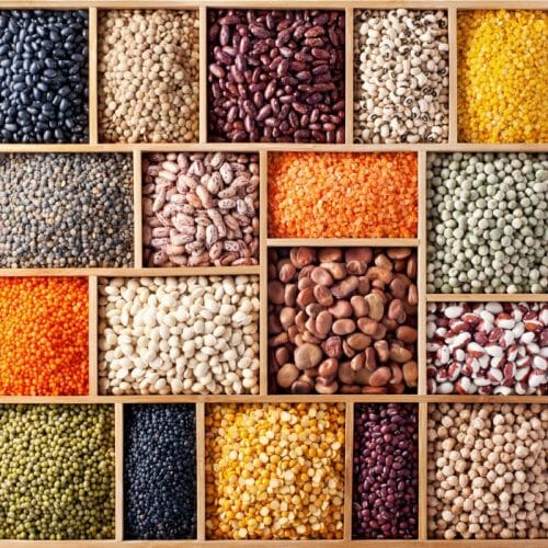 Indian Lentils and Legumes