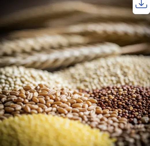 Different Whole Grains 