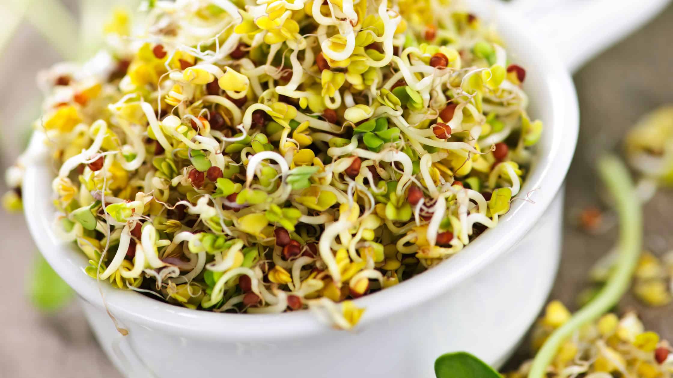 Sprouted Moong Beans