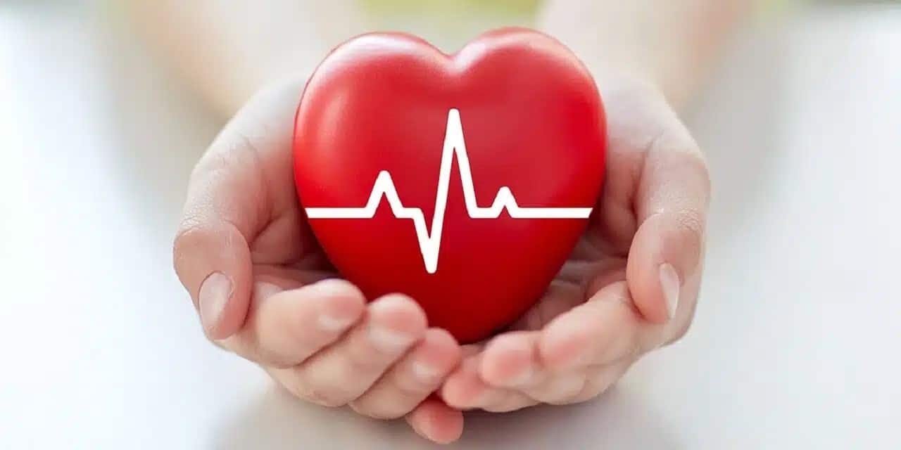 Promotes Heart Health