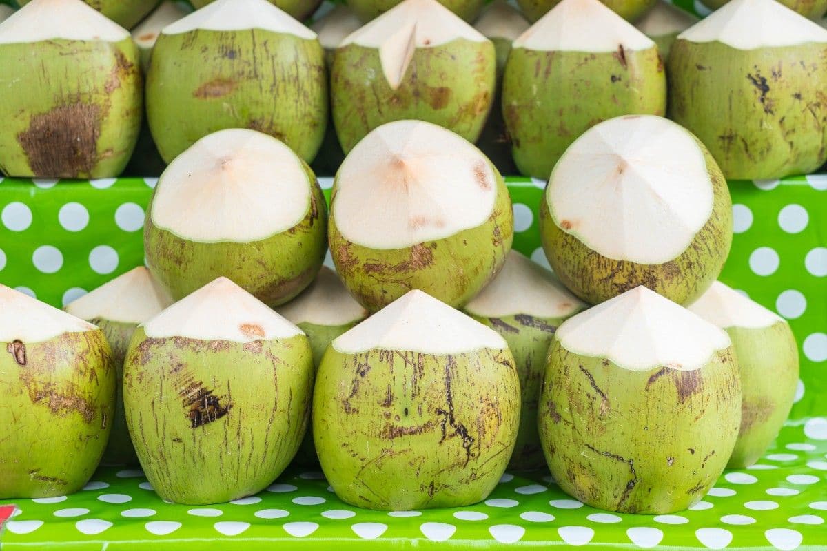 What are the Best Summer Fruits to Eat in India? 10 Tender Coconut