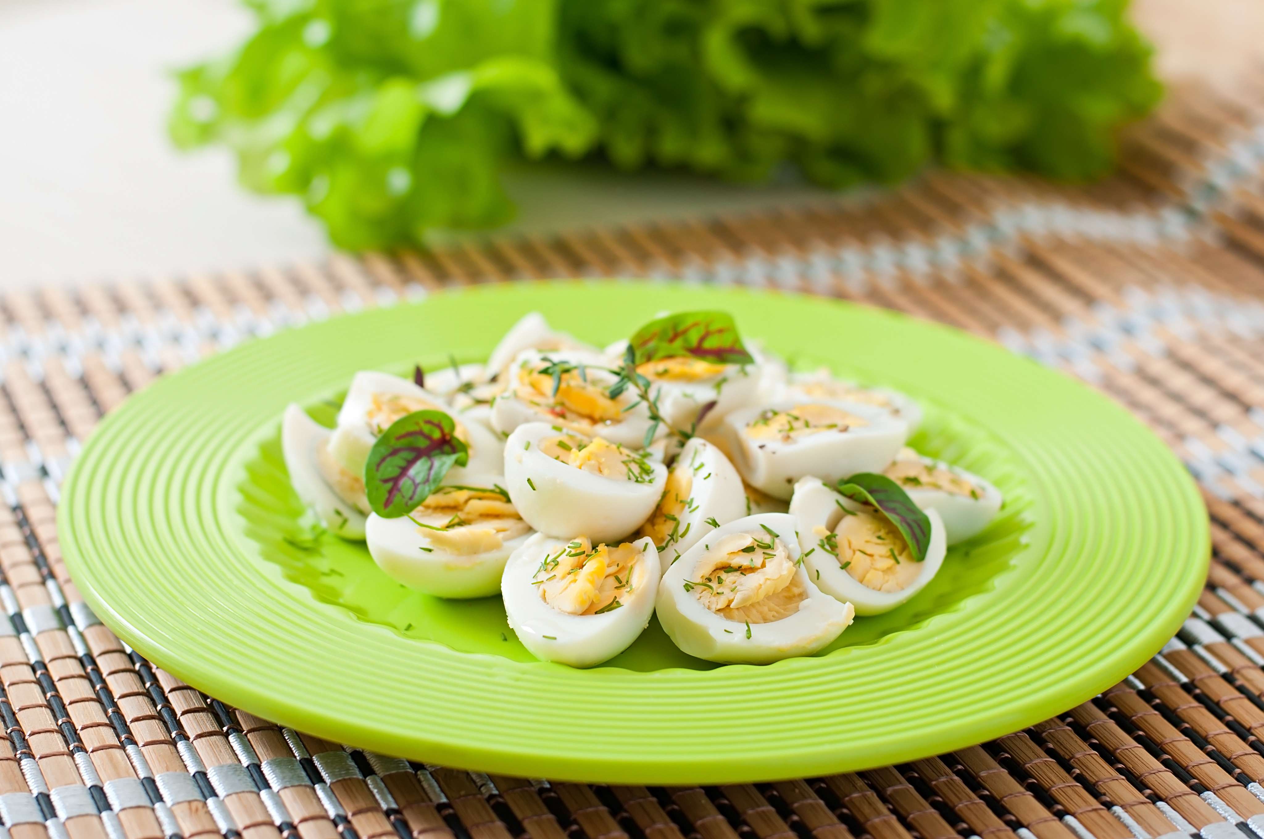 Egg salad with herbs
