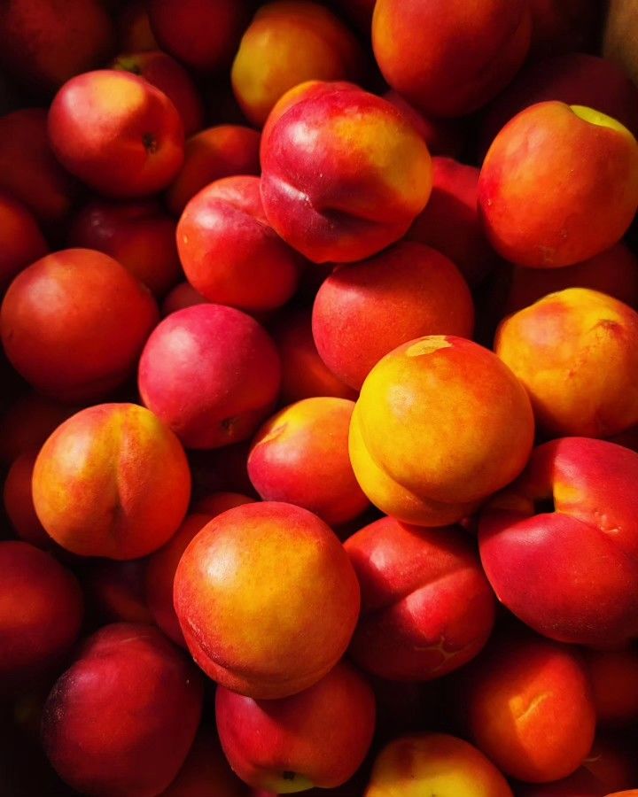 Nectarines