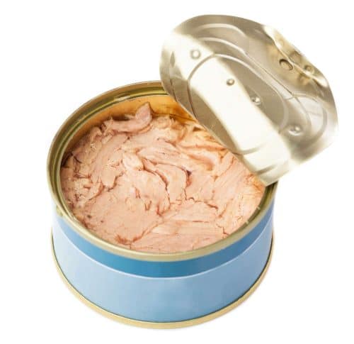 tuna in a can