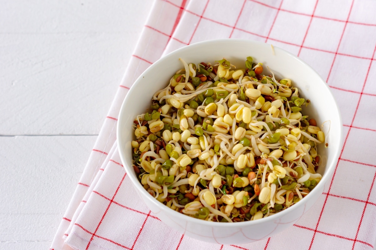 Sprouted Moong Salad Bowl