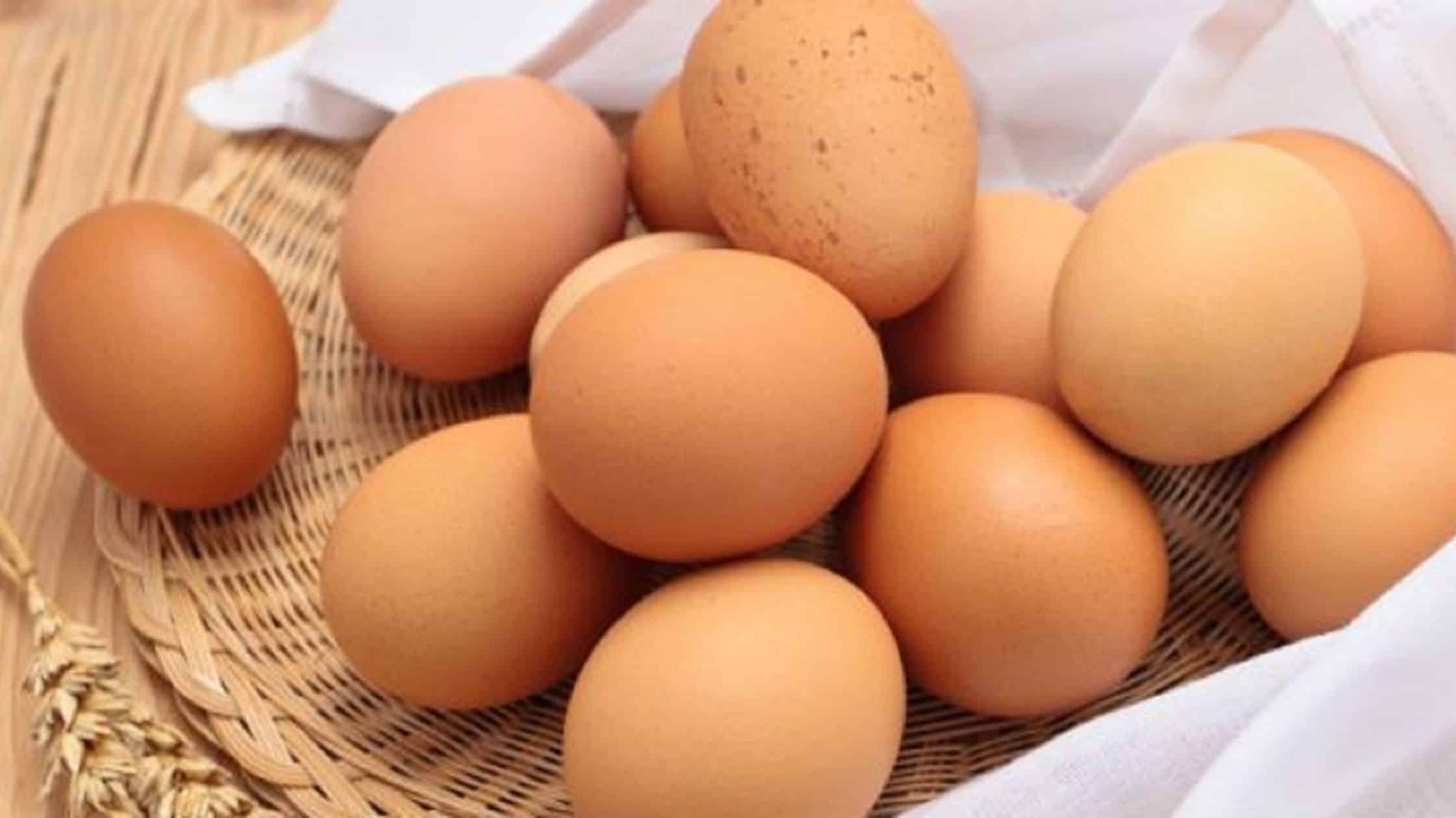 Basket of eggs for Hair Growth