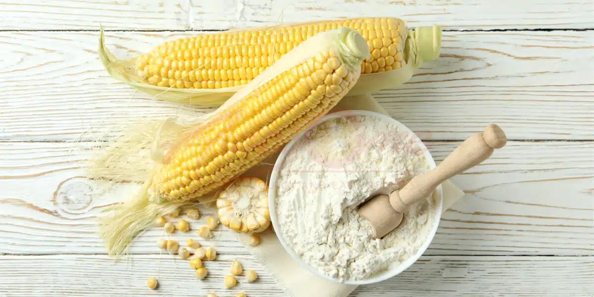 Maize Flour