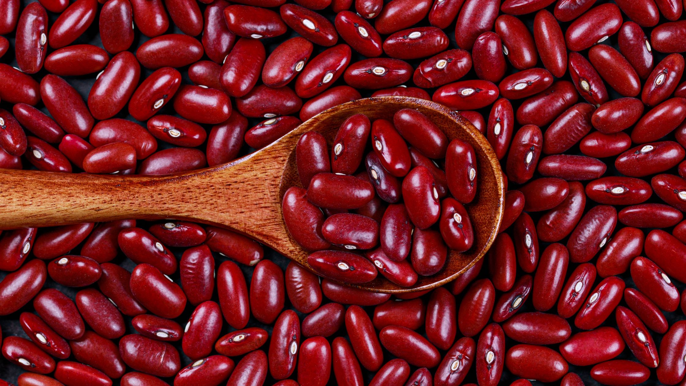 Protein Rich Kidney beans