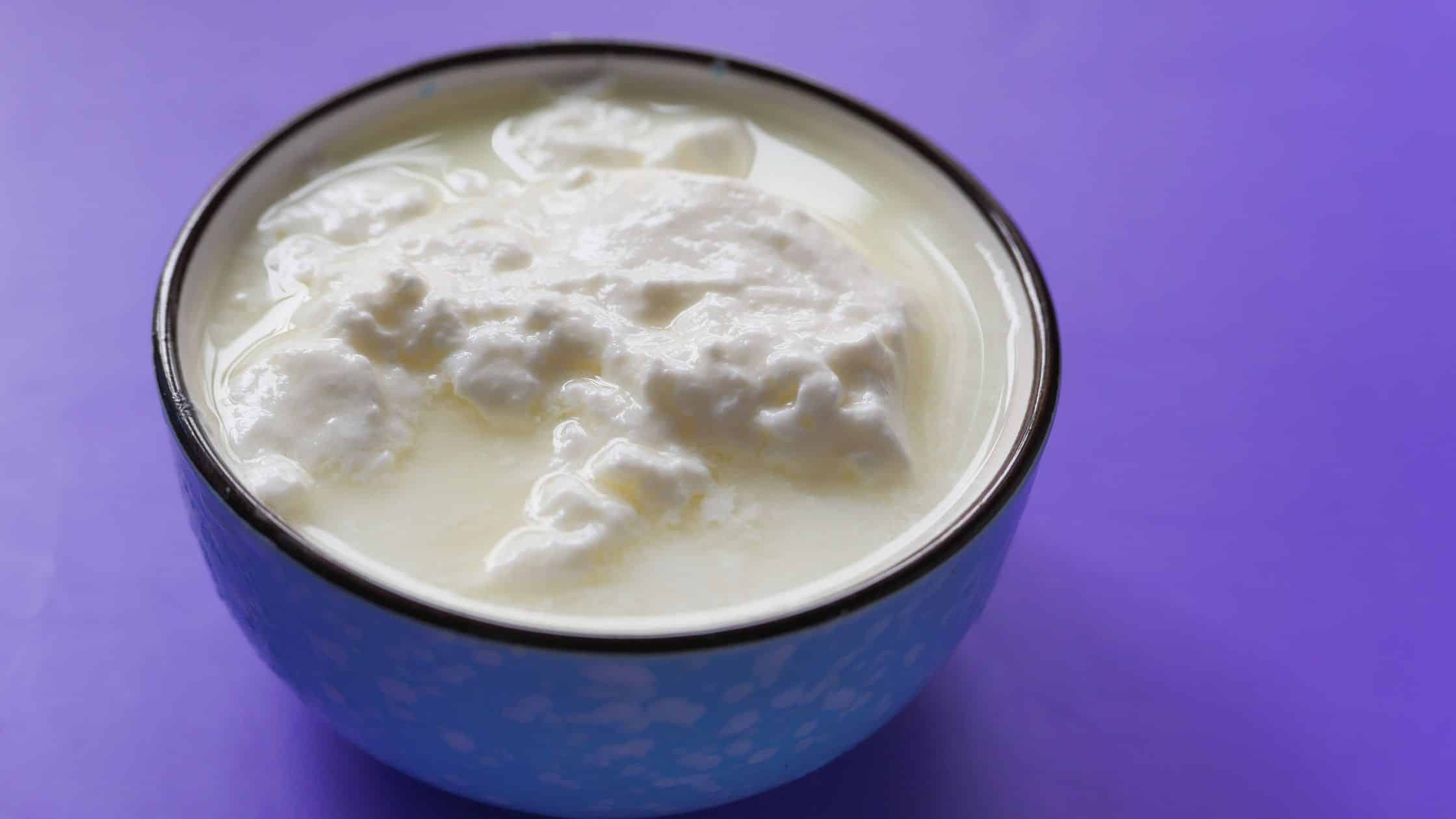 Protein Rich Yoghurt