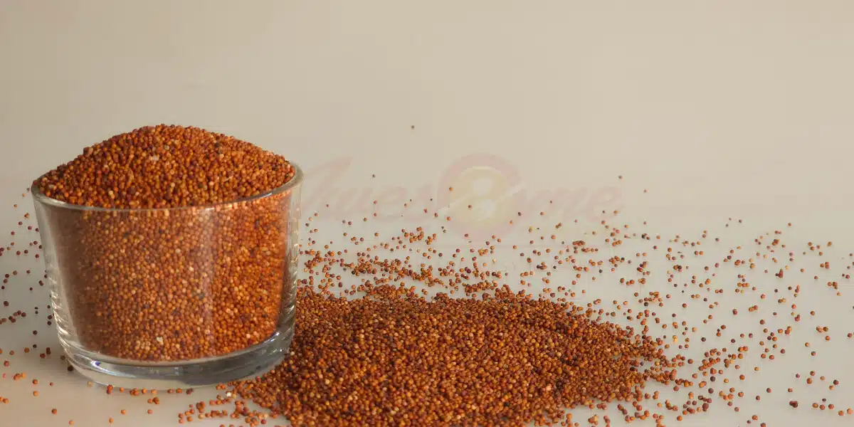 Ragi