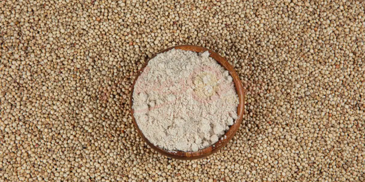 Sorghum Jowar Flour