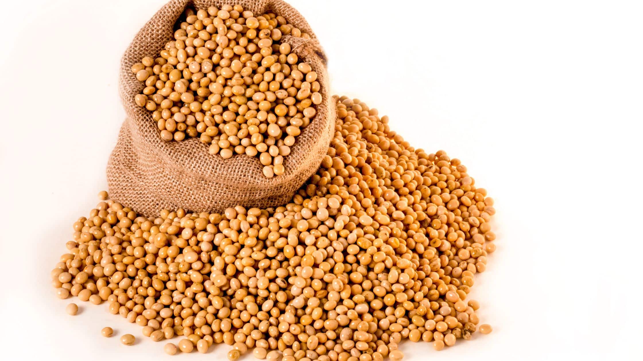 Soybeans for Hair Growth