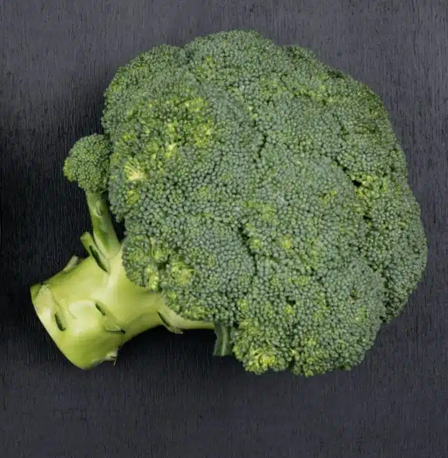 a broccoli head on the table 