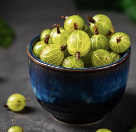 amla or gooseberry provides immense iron to kids