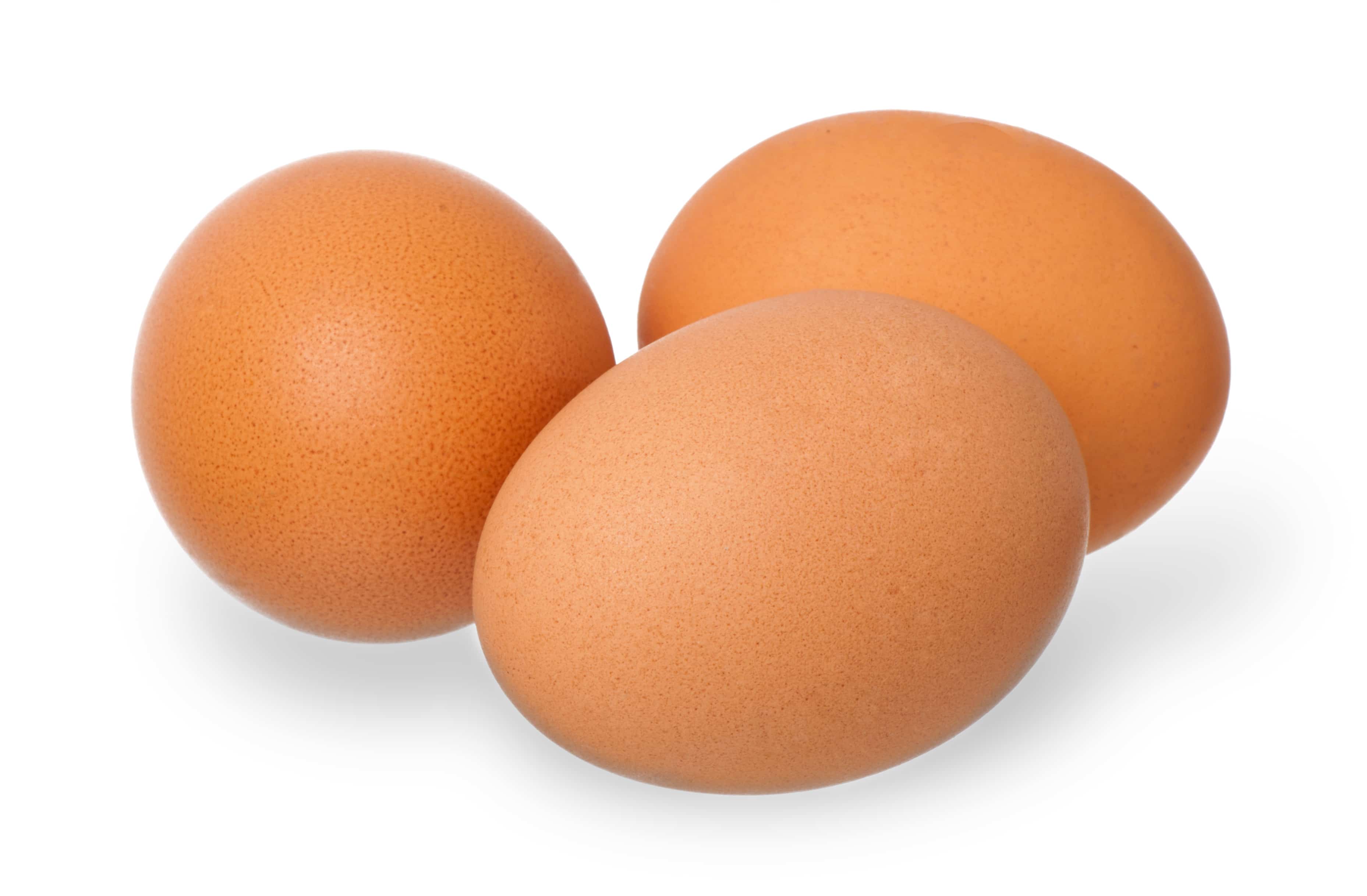 Brown egg on white background