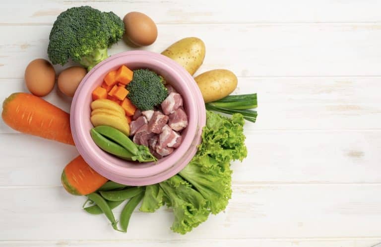 What Are 18 Iron Rich Foods for Kids That They Will Love?